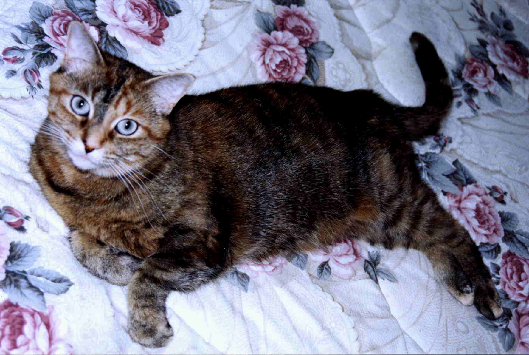 vicky-1.jpeg